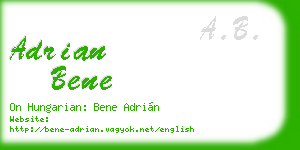 adrian bene business card