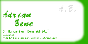 adrian bene business card